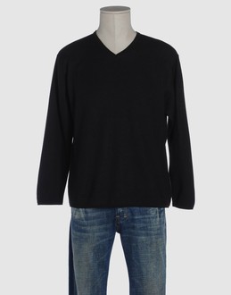 ZONE A NATURAL HISTORY - メンズ - ニット - V ネックニット on YOOX.COM
