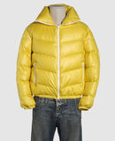 KRIS VAN ASSCHE - Down jackets