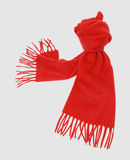 LES COPAINS - Scarves