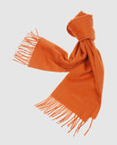 LES COPAINS - Scarves