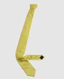 KRIS VAN ASSCHE - Ties