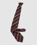 GUCCI - Ties