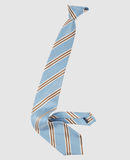 BALENCIAGA - Ties