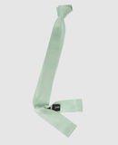 DOLCE & GABBANA - Ties