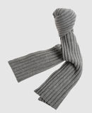 DOLCE & GABBANA - Scarves