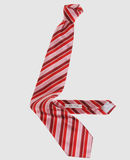 RODA ACCESSORI Cravatte su YOOXCOM