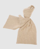 RALPH LAUREN - Scarves