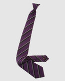 BALLANTYNE - Ties