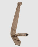 KRIS VAN ASSCHE - Ties